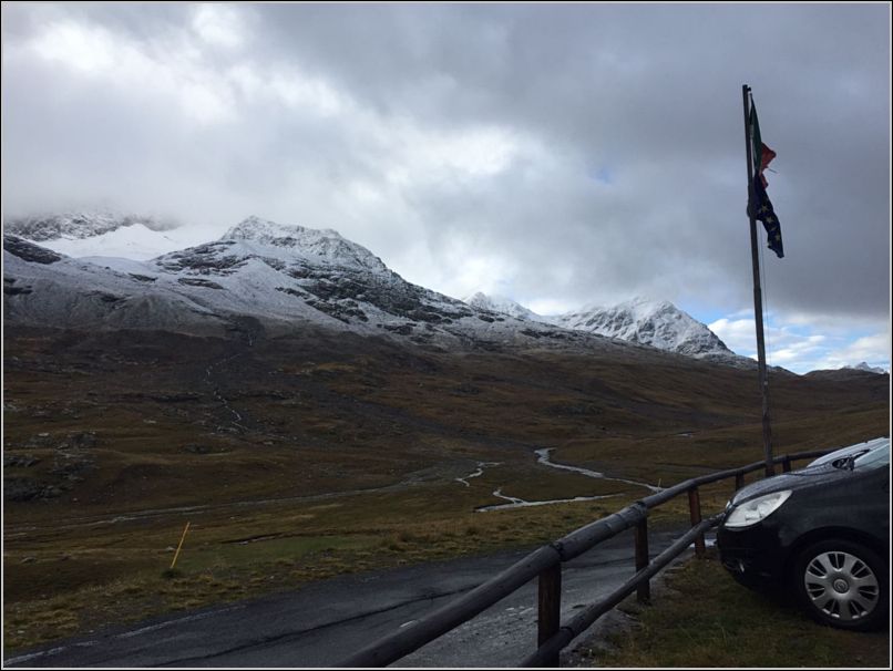 Gavia (13)